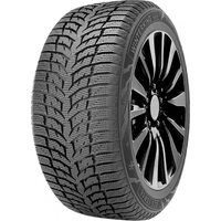 DoubleStar 185/65R15 88T Winterking DW08