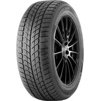 DoubleStar 255/55R20 107H Winterking DW09